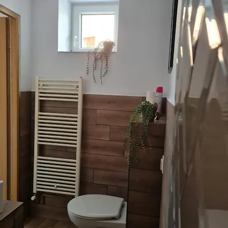 Bulevard Apartments Satu Mare Exterior photo